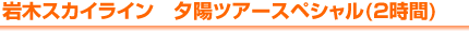 ��؃X�J�C���C���@�[�z�c�A�[�X�y�V����
